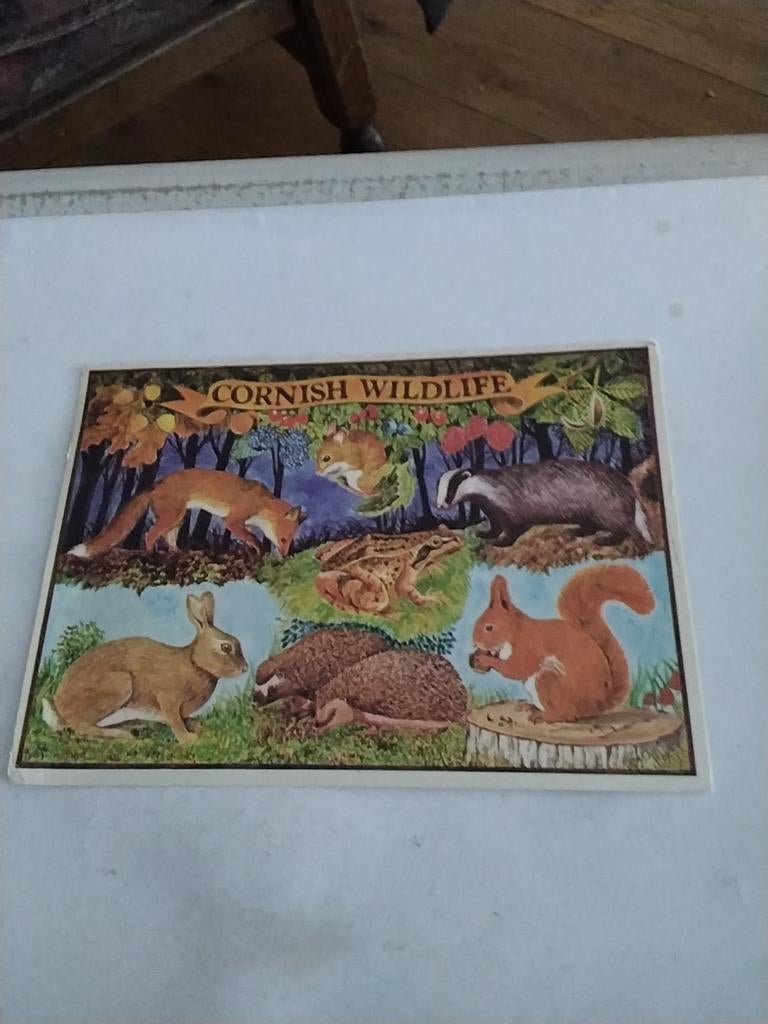CORNISH. WILDLIFE, Ophalen of Verzenden, Overige thema's