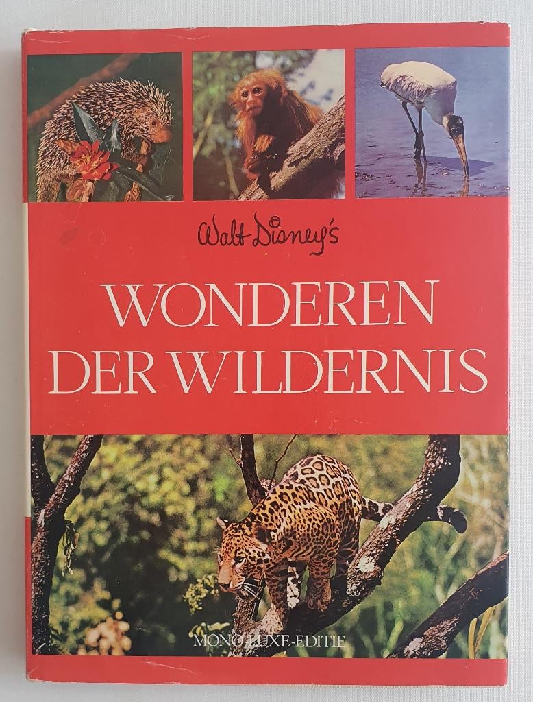 Walt Disney's Wonderen der Wildernis, Ophalen of Verzenden, Overige figuren, Gebruikt, Overige typen