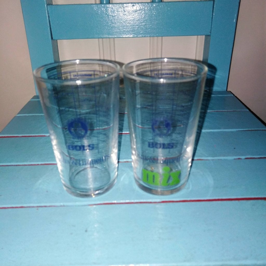 Bols Gins & Liqueurs kleine mix glaasjes 2 stuks, Ophalen, Gebruikt, Borrel- of Shotglas