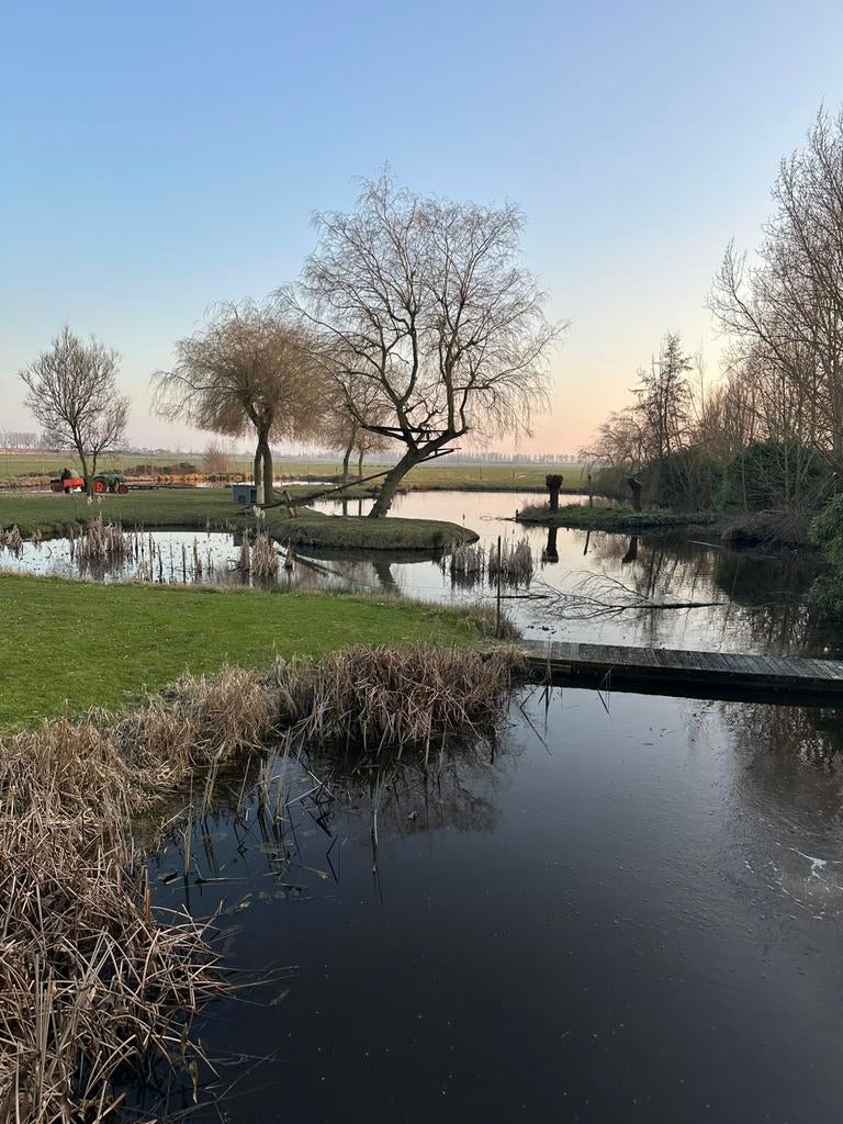 Koi brengen, Dieren en Toebehoren, Vissen | Vijvervissen, Karper of Koi