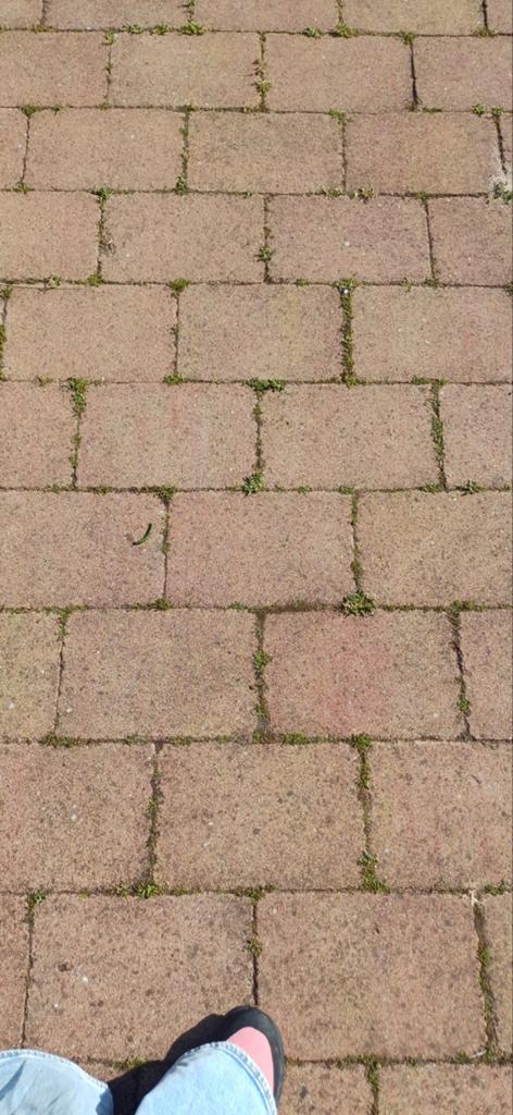 Gebruikte terrastegels, beton, ca. 10 m², Tuin en Terras, Tegels en Klinkers, Gebruikt, Terrastegels, Beton, Ophalen of Verzenden