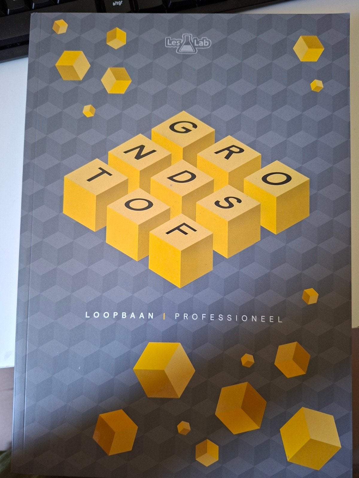Loopbaan Professioneel - LesLab (ISBN 9789492667243) MBO, LesLab, Ophalen of Verzenden, Zo goed als nieuw, MBO