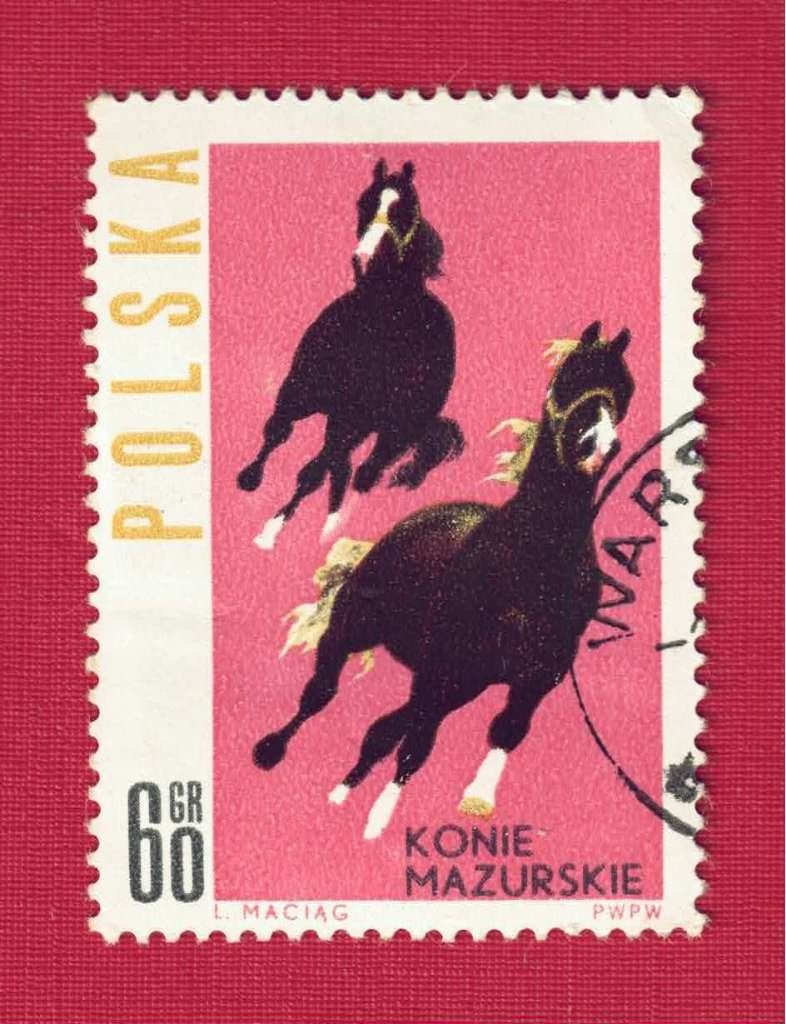 Fauna - Dieren - Paarden - Polen - 60 Gr. - Konie Mazurskie, Ophalen of Verzenden, Gestempeld, Dier of Natuur