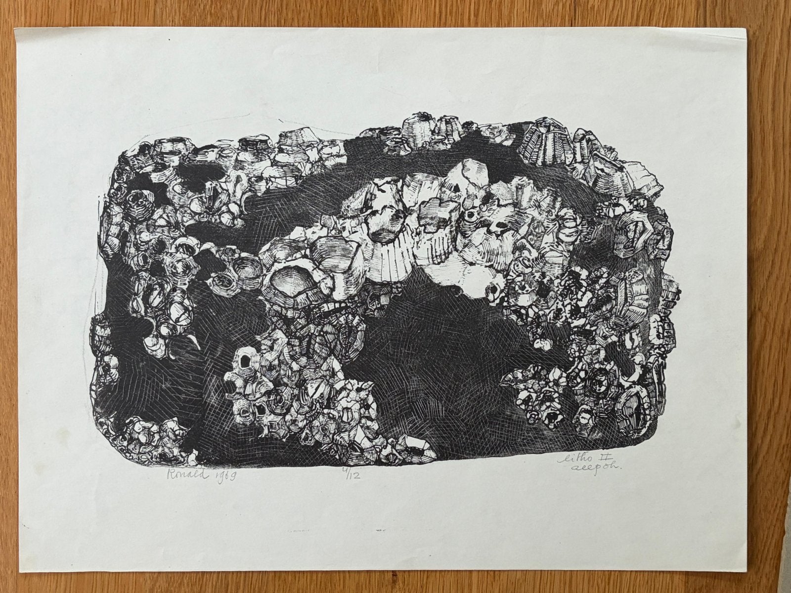 Lithografie 'Zeepokken' van Ronald 1969, genummerd 4/12, Ophalen of Verzenden, Flora en Fauna, Lithografie, 1950 - 1999