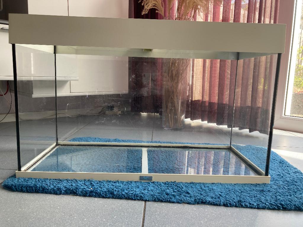 Aquarium, Dieren en Toebehoren, Ophalen, Gebruikt, Verwarming, Leeg aquarium