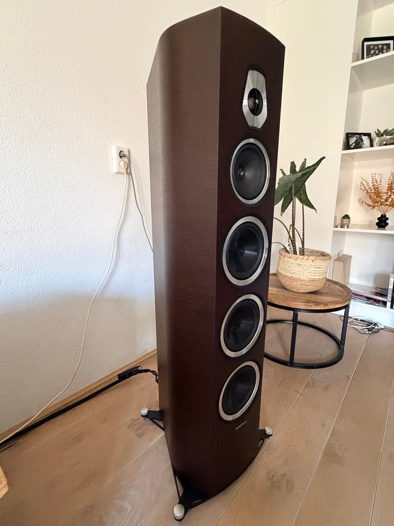 Sonus Faber Sonetto VIII luidspreker wengé, Gebruikt, 120 watt of meer, Front, Rear of Stereo speakers, Ophalen