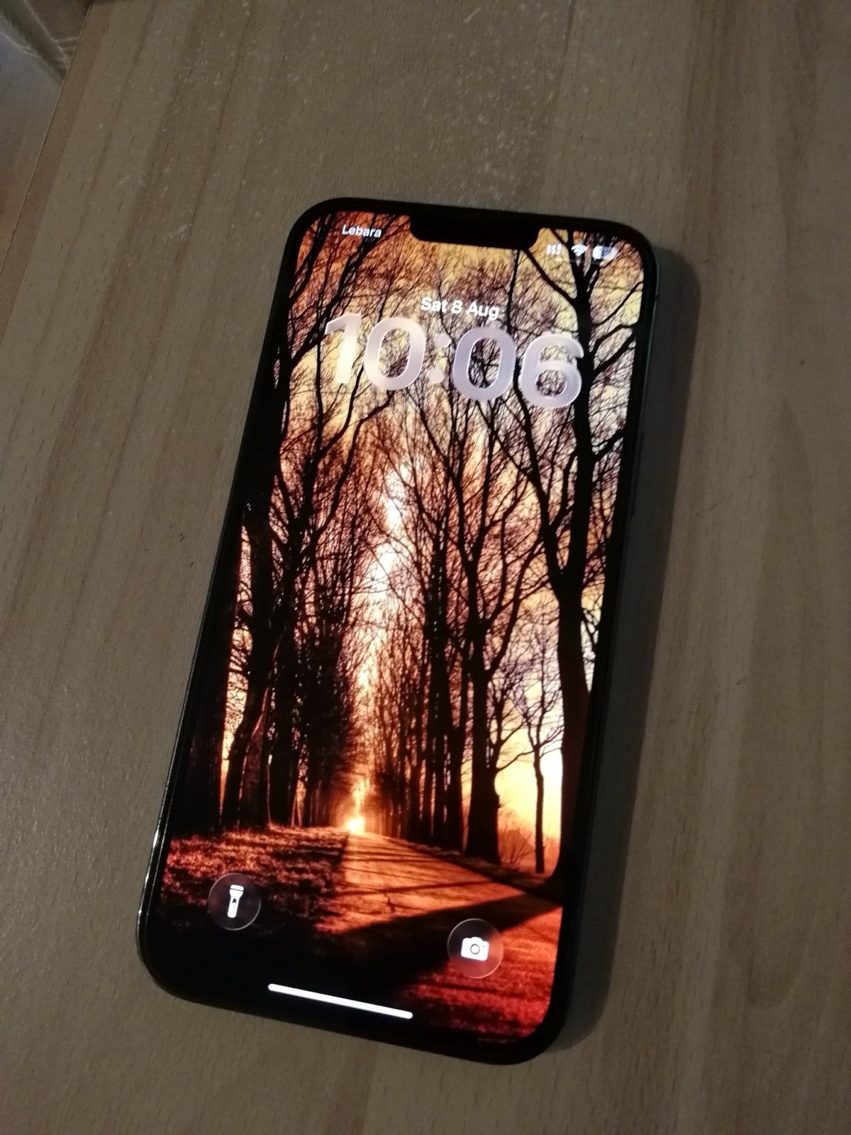 iPhone 13 Pro Max 256GB Groen - Goede staat, oplaadpoort def, Gebruikt, IPhone 13 Pro Max, Groen, Ophalen