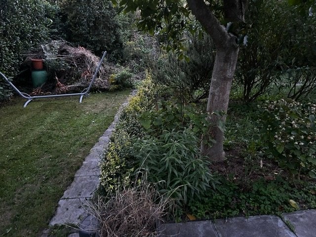 Tuin in Zevenaar, moestuin, onderhoudt voor hobby, Ophalen of Verzenden