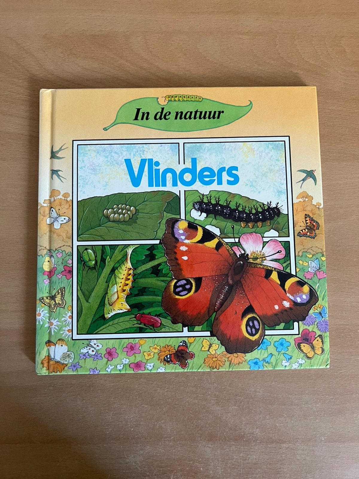 Prentenboek vlinders in de natuur, Ophalen of Verzenden, Zo goed als nieuw