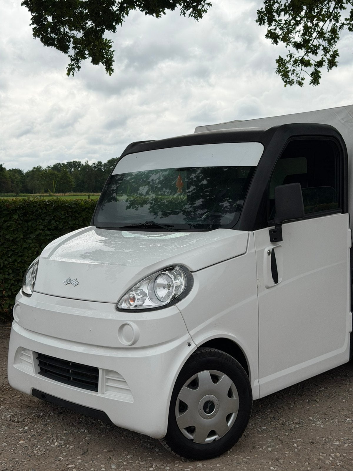 Ligier FLEX Truck | Unieke conditie 1e eigenaar 45KM Brom, Ophalen, 46 km of meer, Ligier, 16 km/u of meer
