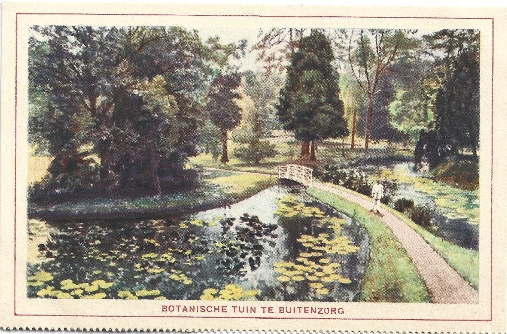 Indonesië;  Botanische tuin te Buitenzorg ( 1 ), Verzenden, 1920 tot 1940, Ongelopen, Buiten Europa