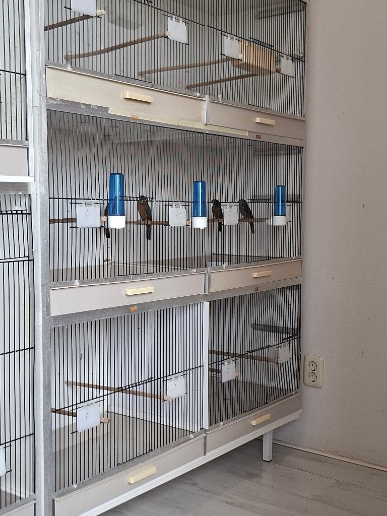 Gehu Broedkooi/Vluchtkooi 120 50 40, Ophalen of Verzenden, Zo goed als nieuw, Hout, Broedkooi of Kweekkooi