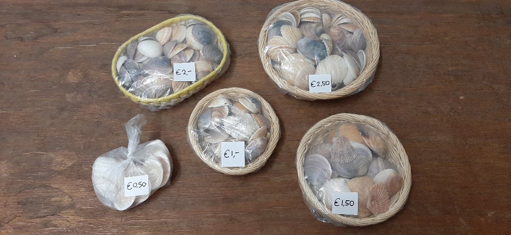 Schelpen voor decoratie, Ophalen of Verzenden, Nieuw, Zee en Strand, Knutselwerk