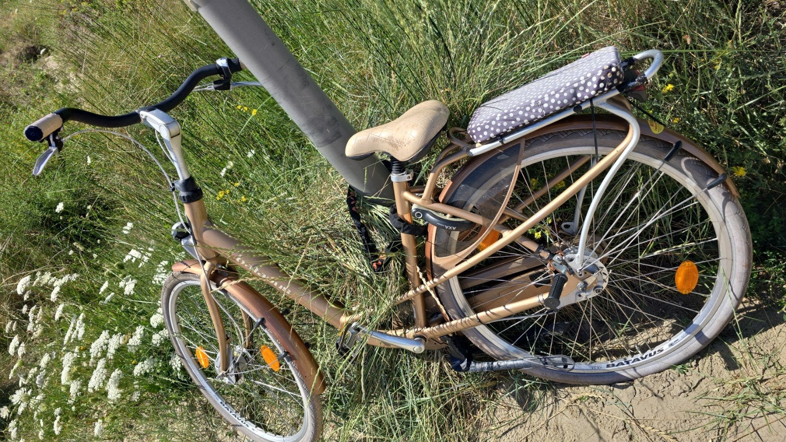 Batavus Mambo Mamafiets - Stabiel en Ruim, Fietsen en Brommers, Fietsen | Dames | Damesfietsen, Ophalen