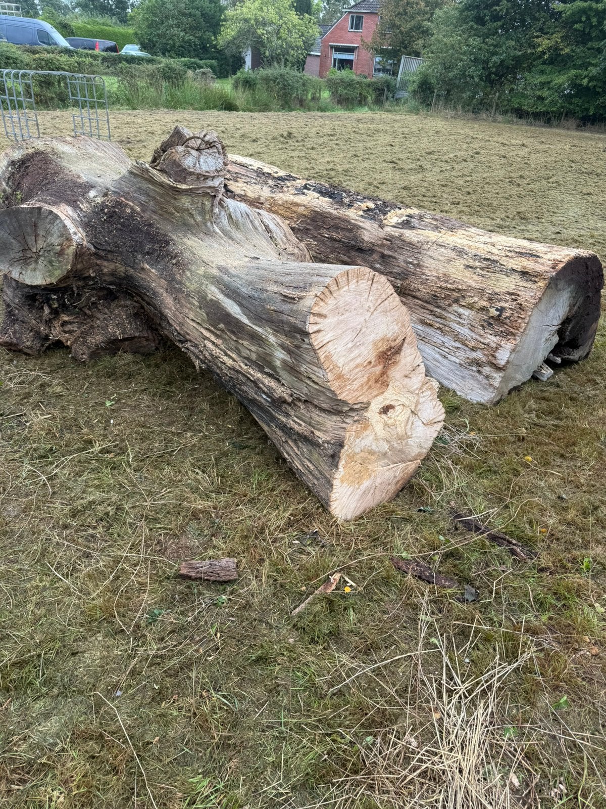 2 boomstammen eikenhout, Tuin en Terras, Minder dan 3 m³, Ophalen of Verzenden