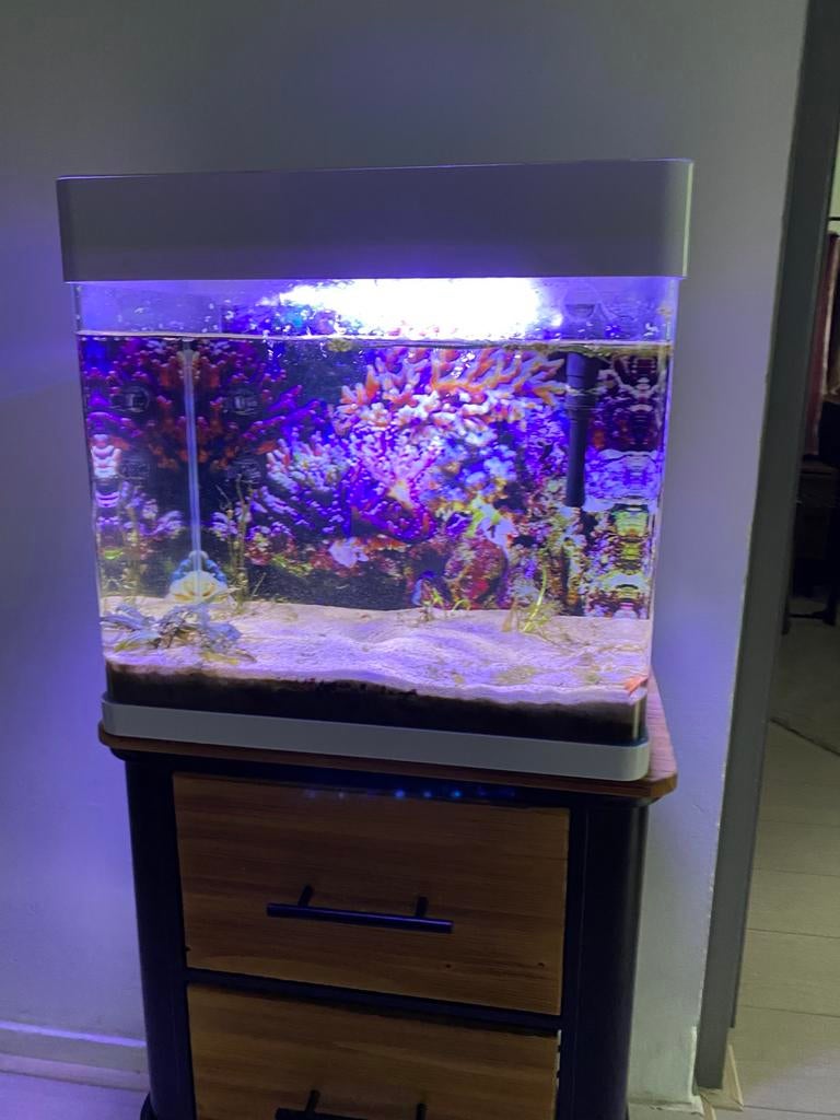 Aquarium superfish panoramische 50 liter, Dieren en Toebehoren, Ophalen, Zo goed als nieuw, Leeg aquarium