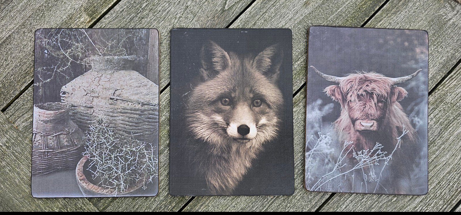 Set van 3 schilderijtjes: Vos, Schotse Hooglander, Vazen, Huis en Inrichting, Woonaccessoires | Overige, Ophalen of Verzenden