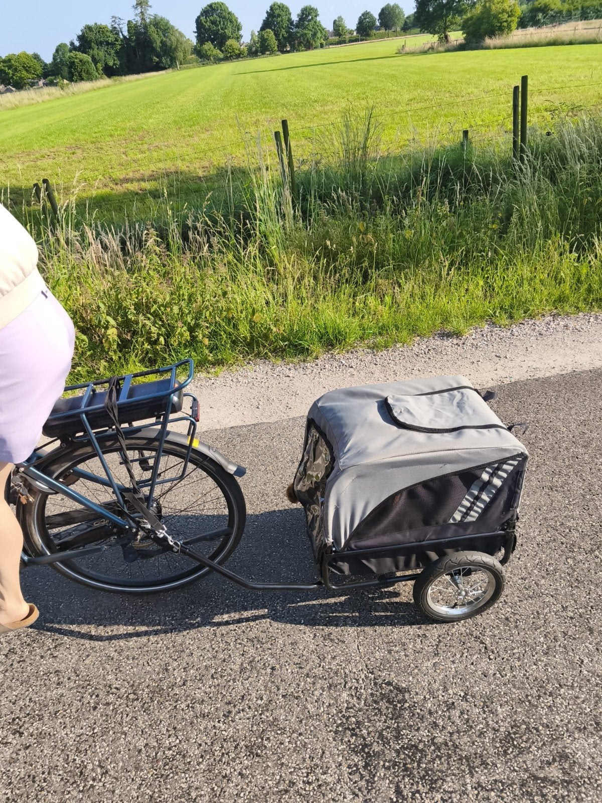 Honden Fietskar - grijs zwart, Fietsen en Brommers, Fietsaccessoires | Aanhangers en Karren, Ophalen, Gebruikt, Opvouwbaar, 20 tot 40 kg