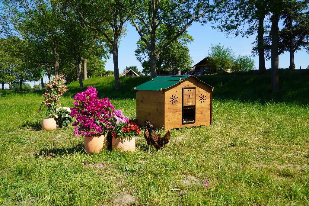 Trespa Kippenhok Cucciolotta | Chalet 2XL, Dieren en Toebehoren, Pluimvee | Toebehoren, Ophalen of Verzenden, Nieuw, Kippenhok of Kippenren