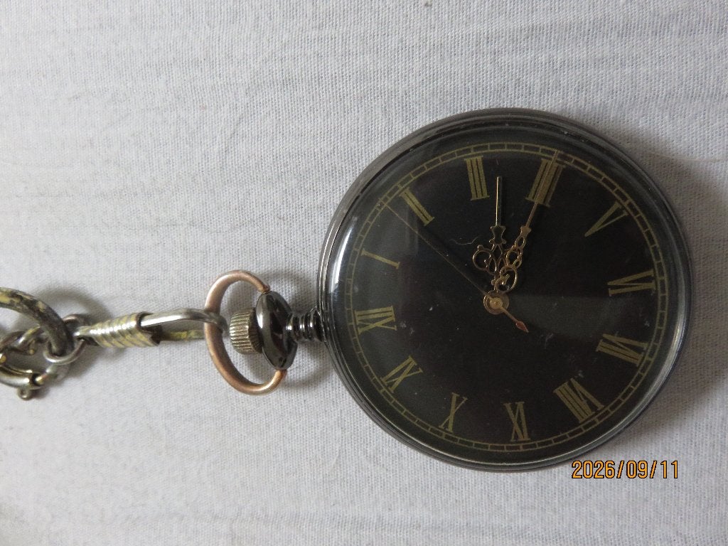 ZAKHORLOGE, Verzenden, Staal, Overige merken, Onbekend