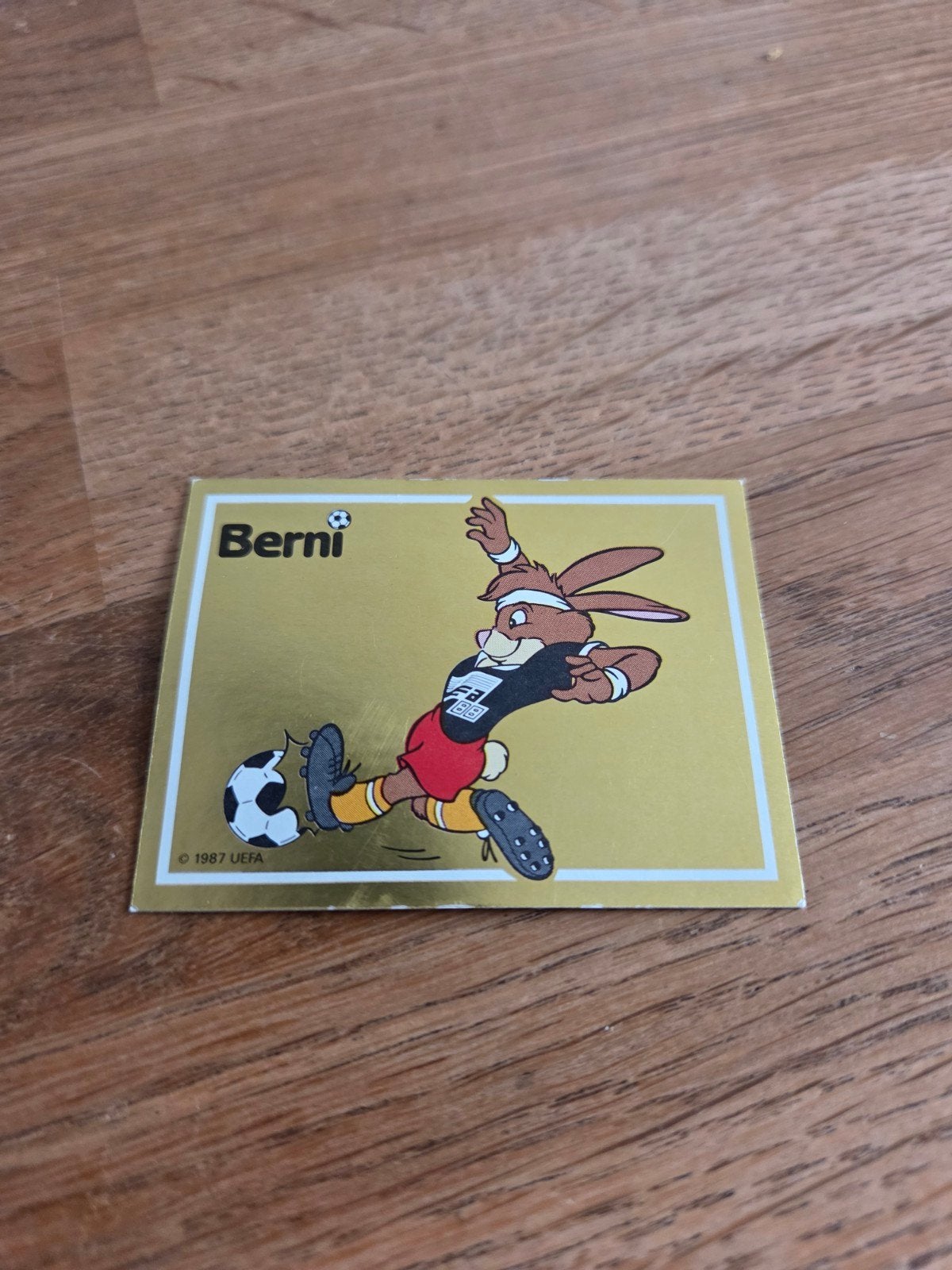 Panini EK 88, Verzamelen, Ophalen of Verzenden, Zo goed als nieuw, Buitenlandse clubs, Poster, Plaatje of Sticker