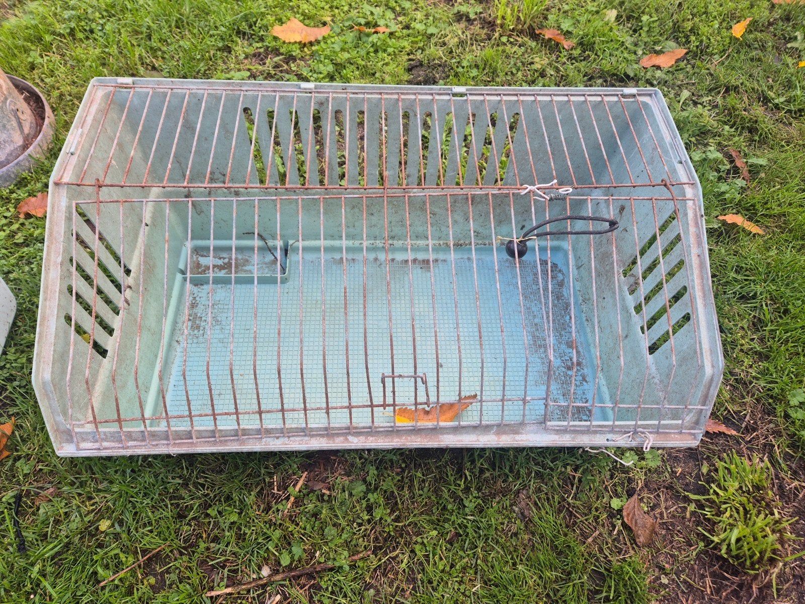 Gratis bak kooi dier konijn, cavia,.., Dieren en Toebehoren, Kooi, Cavia, 75 tot 110 cm, Ophalen