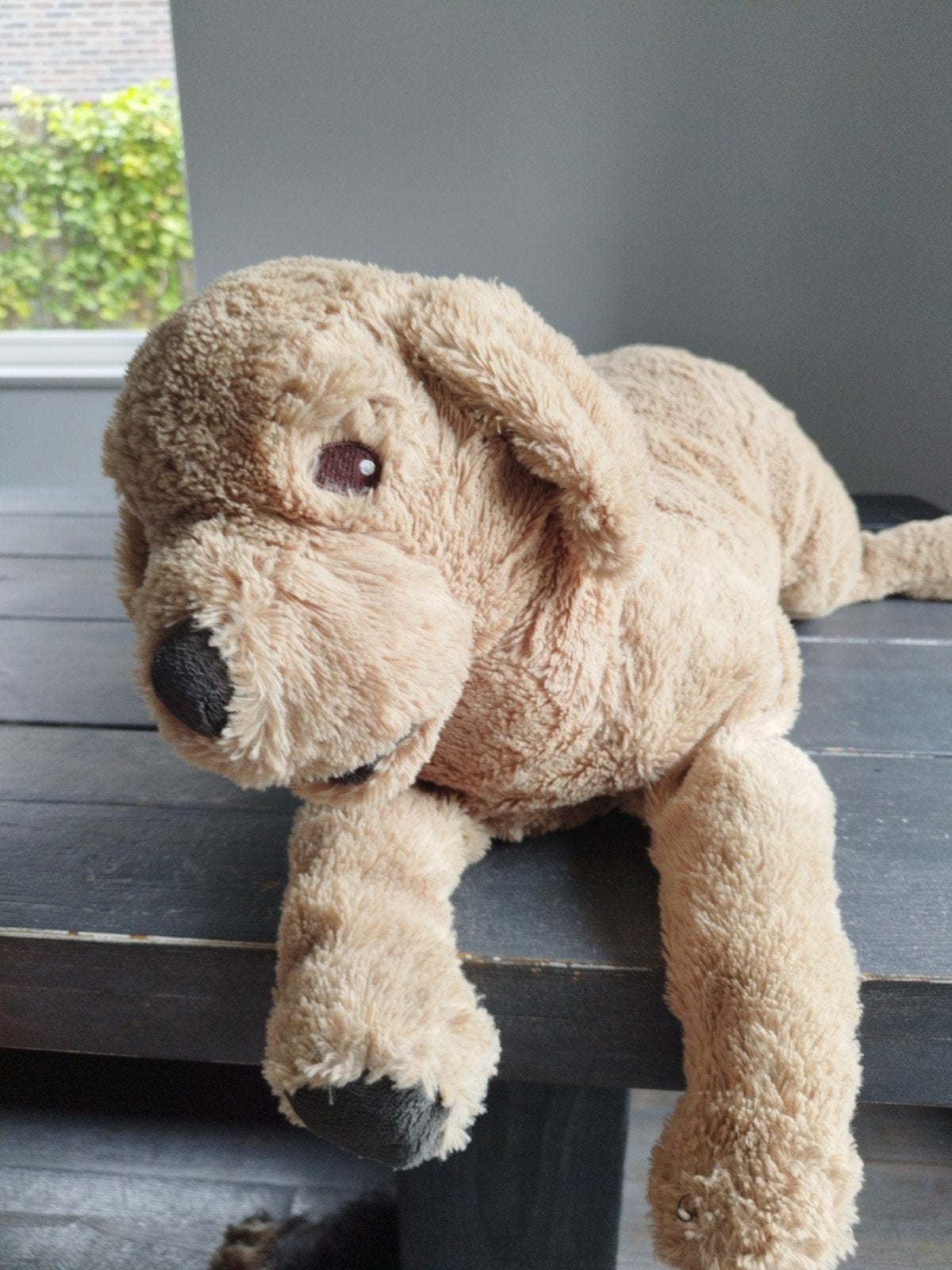 Ikea knuffel hond - wordt hij jouw nieuwe maatje?, Zo goed als nieuw, Middelgroot (20 tot 80 cm), Beige, IKEA