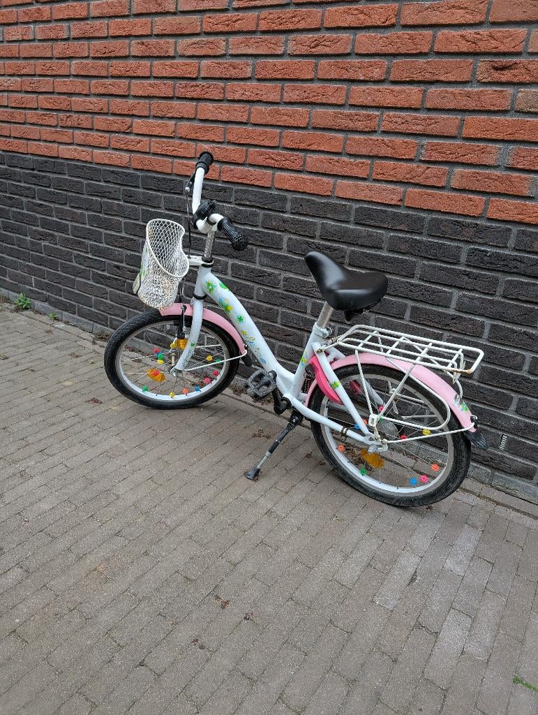 Meisjesfiets, Ophalen, Terugtraprem, Gebruikt, Alpine