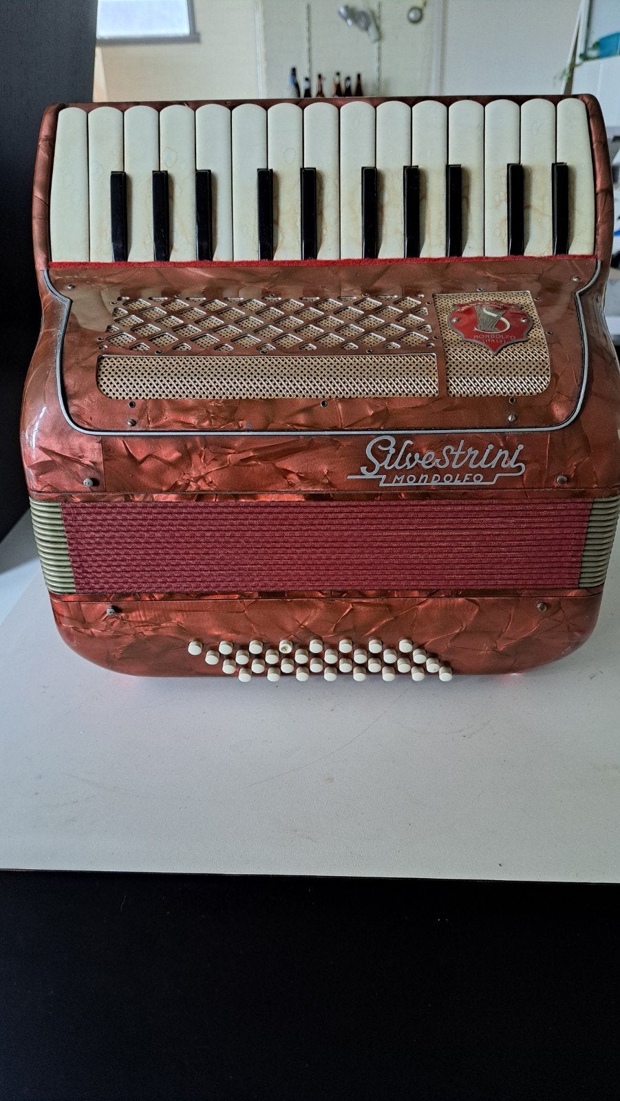 vintage accordeon, Ophalen of Verzenden, Gebruikt, Overige merken