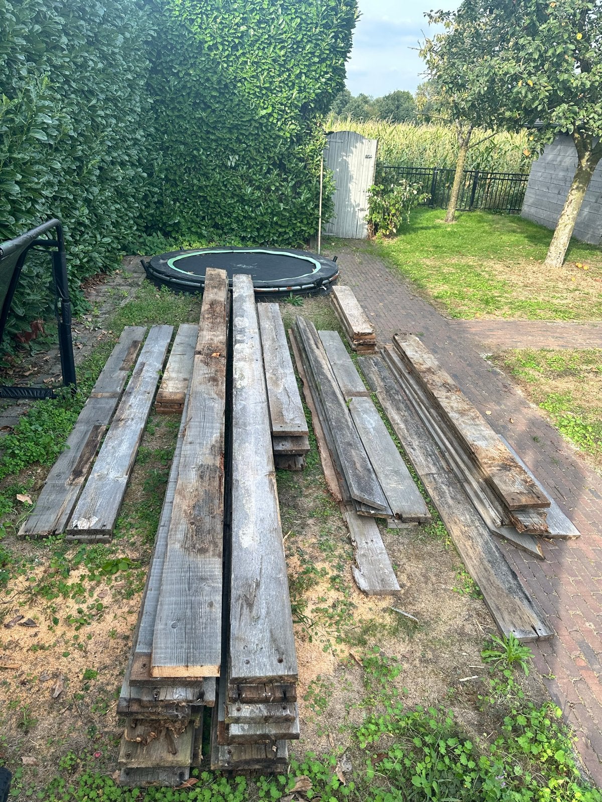 Gebruikte houten planken-steigerhout - diverse lengtes, Gebruikt, 25 tot 50 mm, Plank, Steigerhout