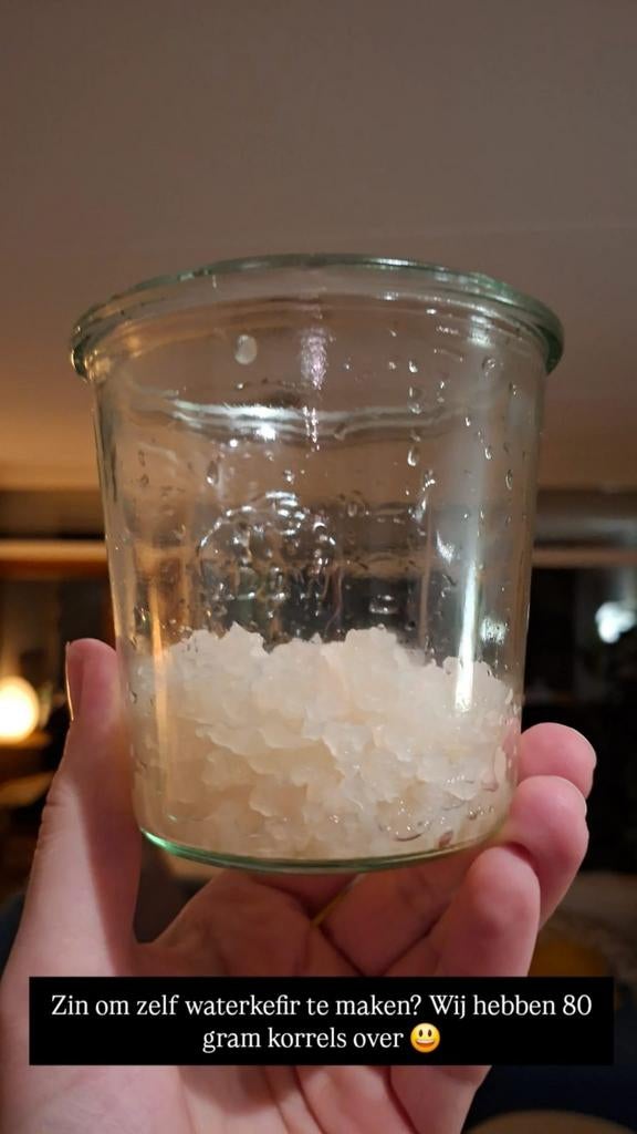Waterkefir korrels, Ophalen