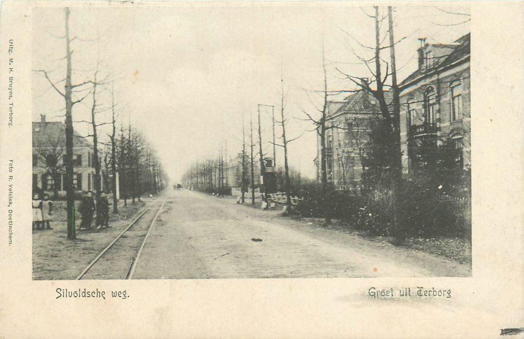 701-242-019 Terborg Silvoldsche Weg, Verzenden, Voor 1920, Gelderland