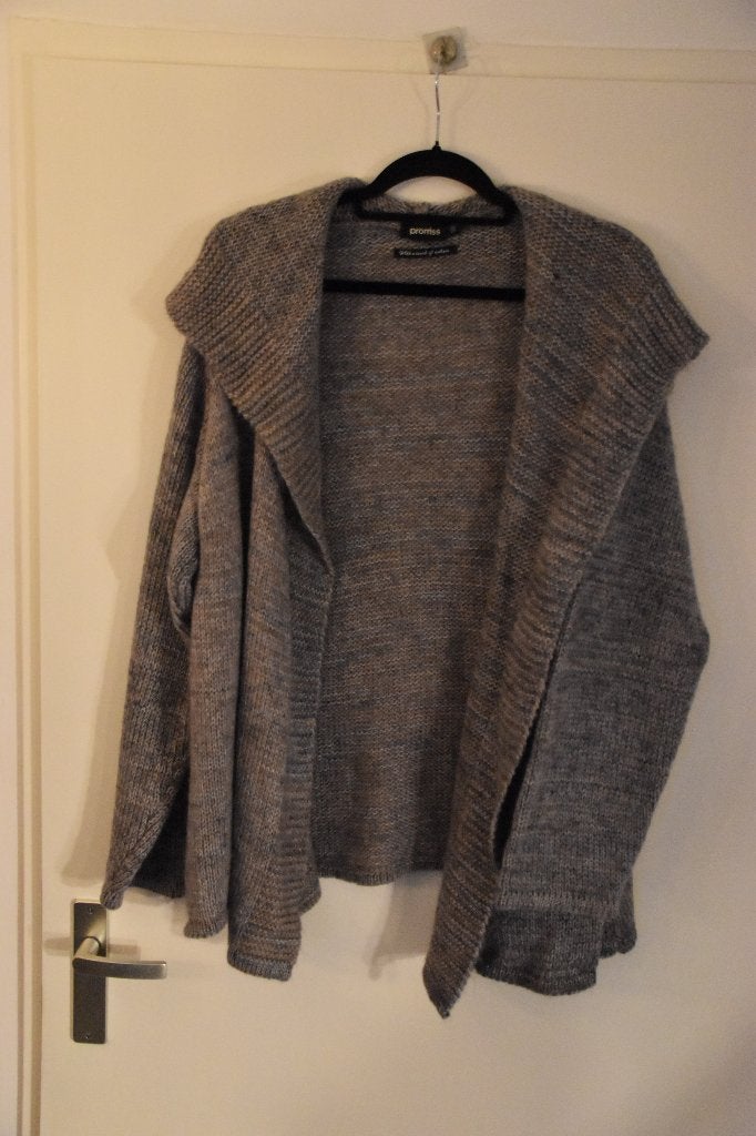 mooi zgan grijs mohairmix vest maat 50 Promiss, Promiss, Maat 46/48 (XL) of groter, Ophalen of Verzenden, Zo goed als nieuw