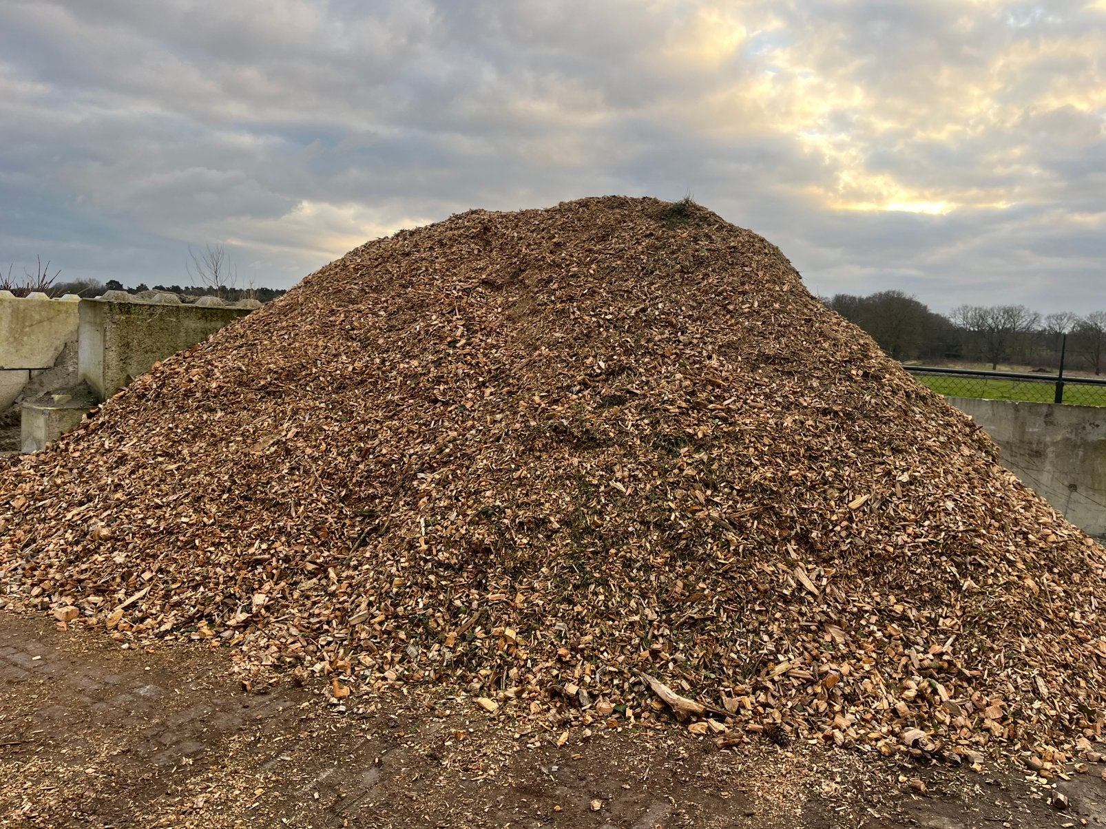 Hout snippers, Ophalen of Verzenden, Boomschors