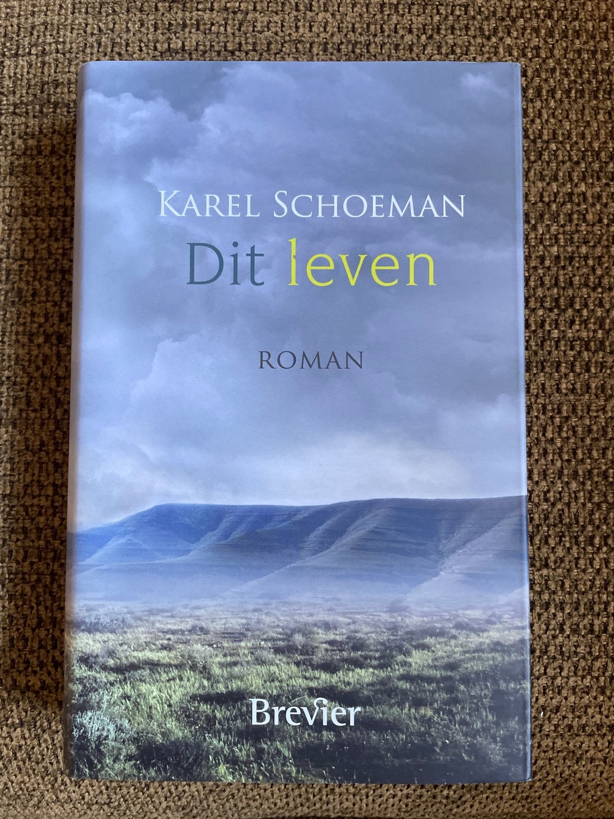 Karel Schoeman - Dit leven, Ophalen of Verzenden, Gelezen, Karel Schoeman