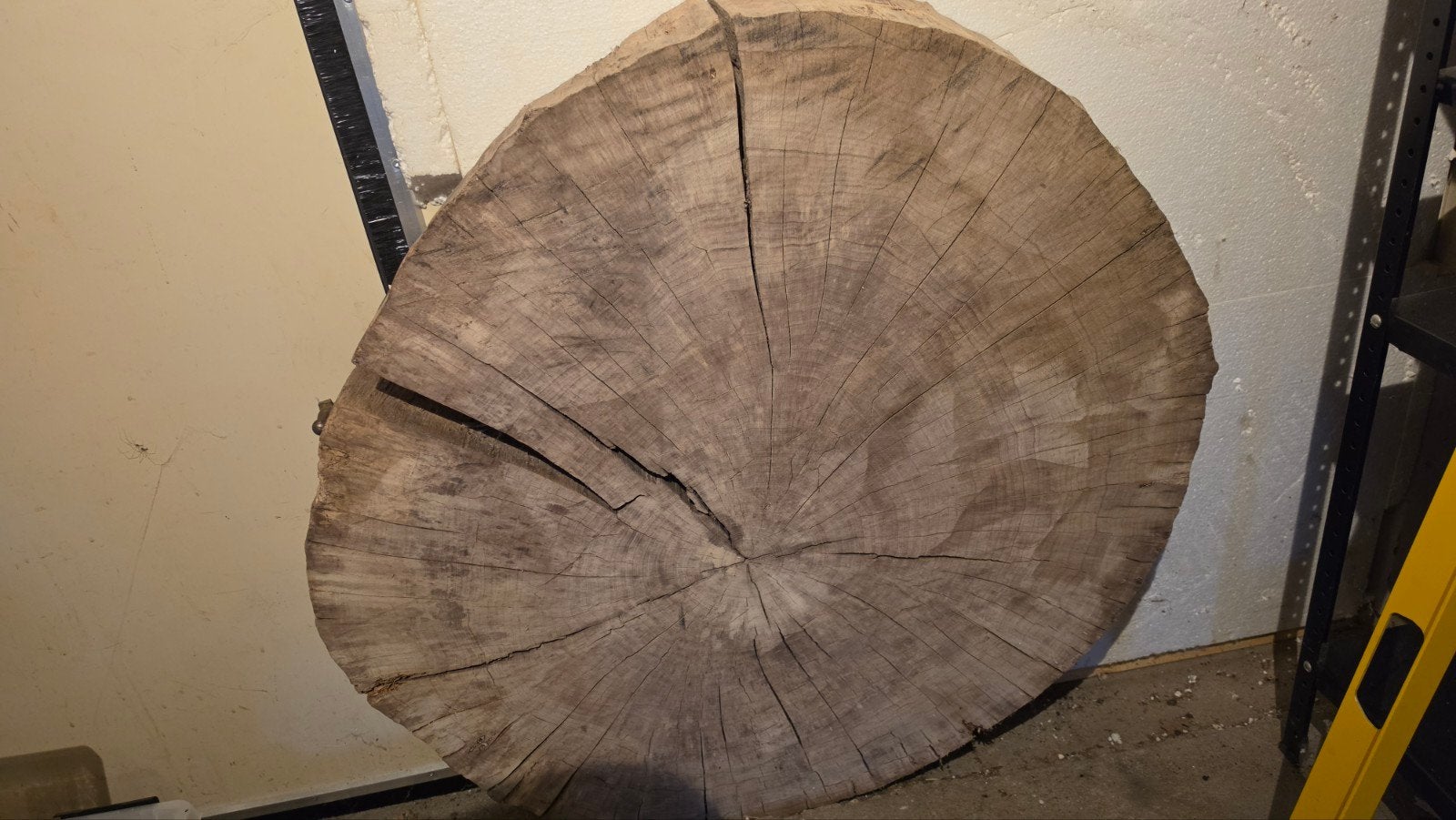 Grote Houten Schijf - Boomstam Schijf - Decoratie, Doe-het-zelf en Verbouw, Hout en Planken, Ophalen, Gebruikt, Overige typen