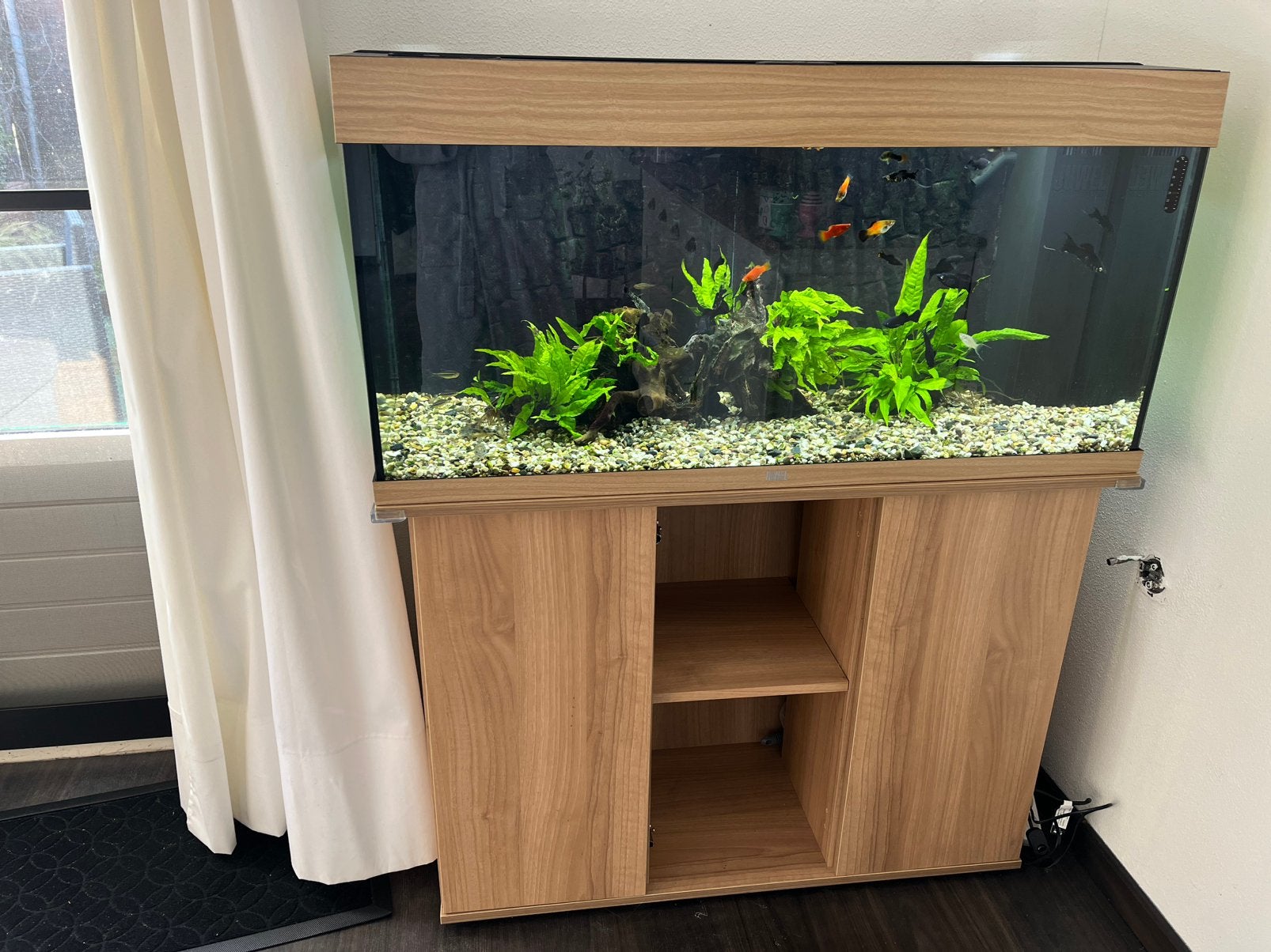 Aquarium Juwel 180L inclusief accessoires en vissen, Dieren en Toebehoren, Ophalen, Juwel
