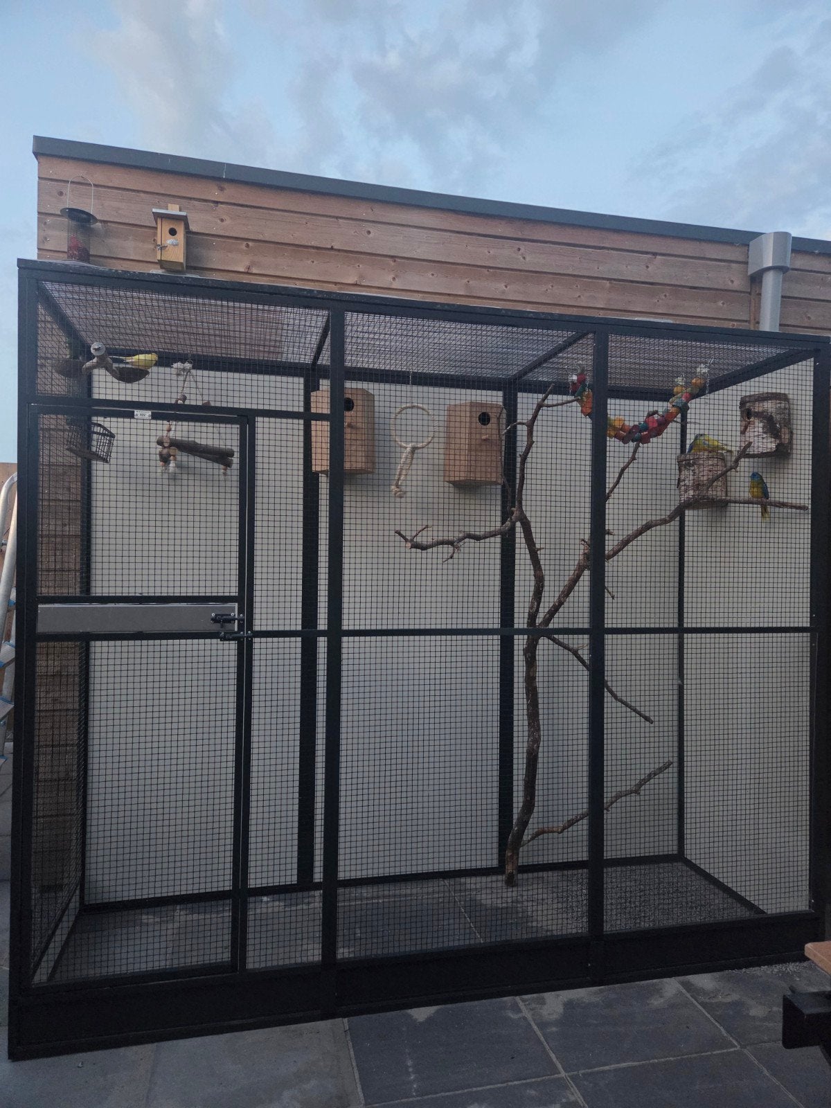 Wij vangen jou vogels op!, Dieren en Toebehoren, Vogels | Hokken en Kooien, Ophalen of Verzenden, Hout, Vogelkooi