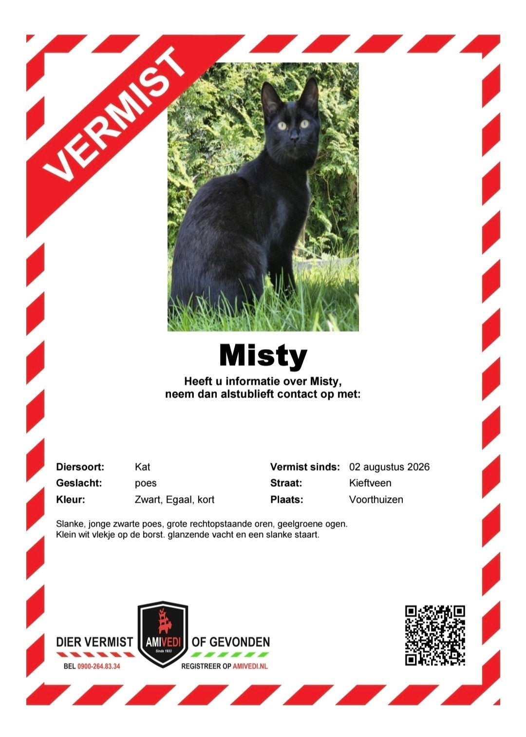 Poes vermist, Poes, Kortharig, 3 tot 5 jaar