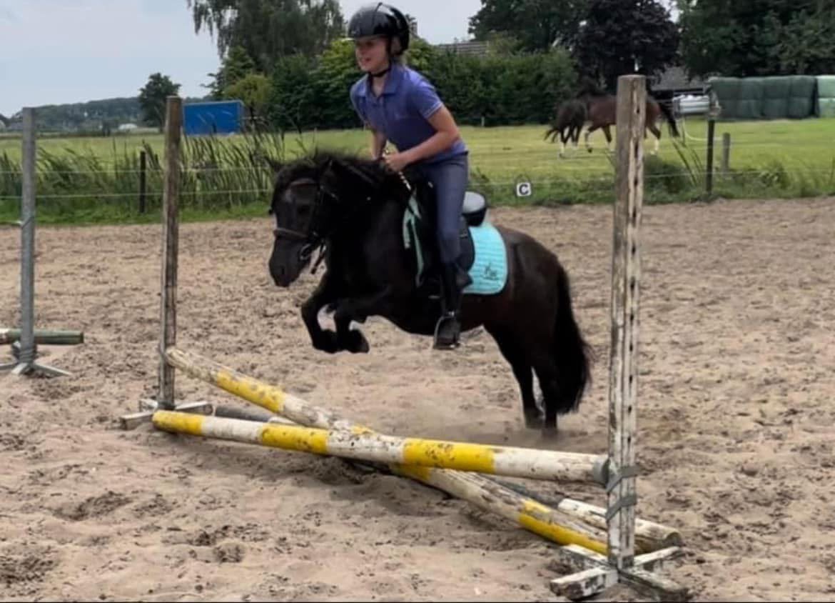 Leuke en lieve lease pony! Shetlander, verzorgpony, Ruiter of Bijrijder