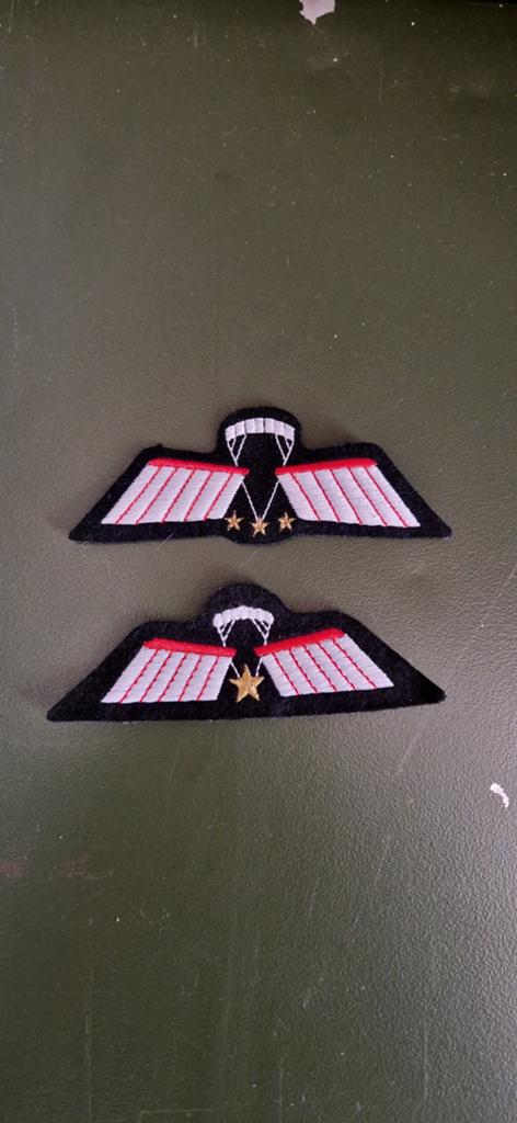 Parawing Kct, Ophalen of Verzenden, Landmacht, Nederland, Embleem of Badge