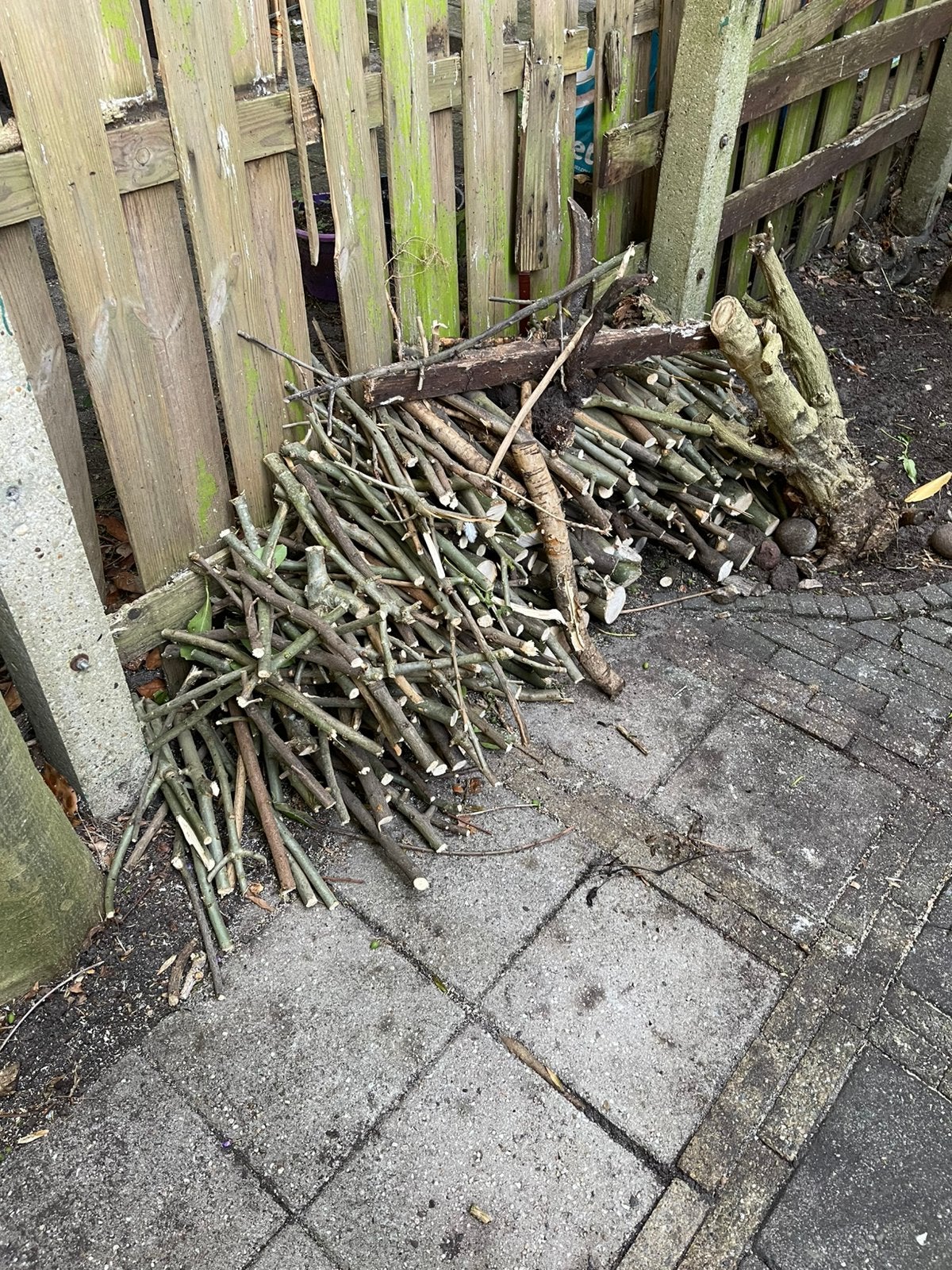 Gratis hout takken, Minder dan 3 m³, Ophalen, Takken