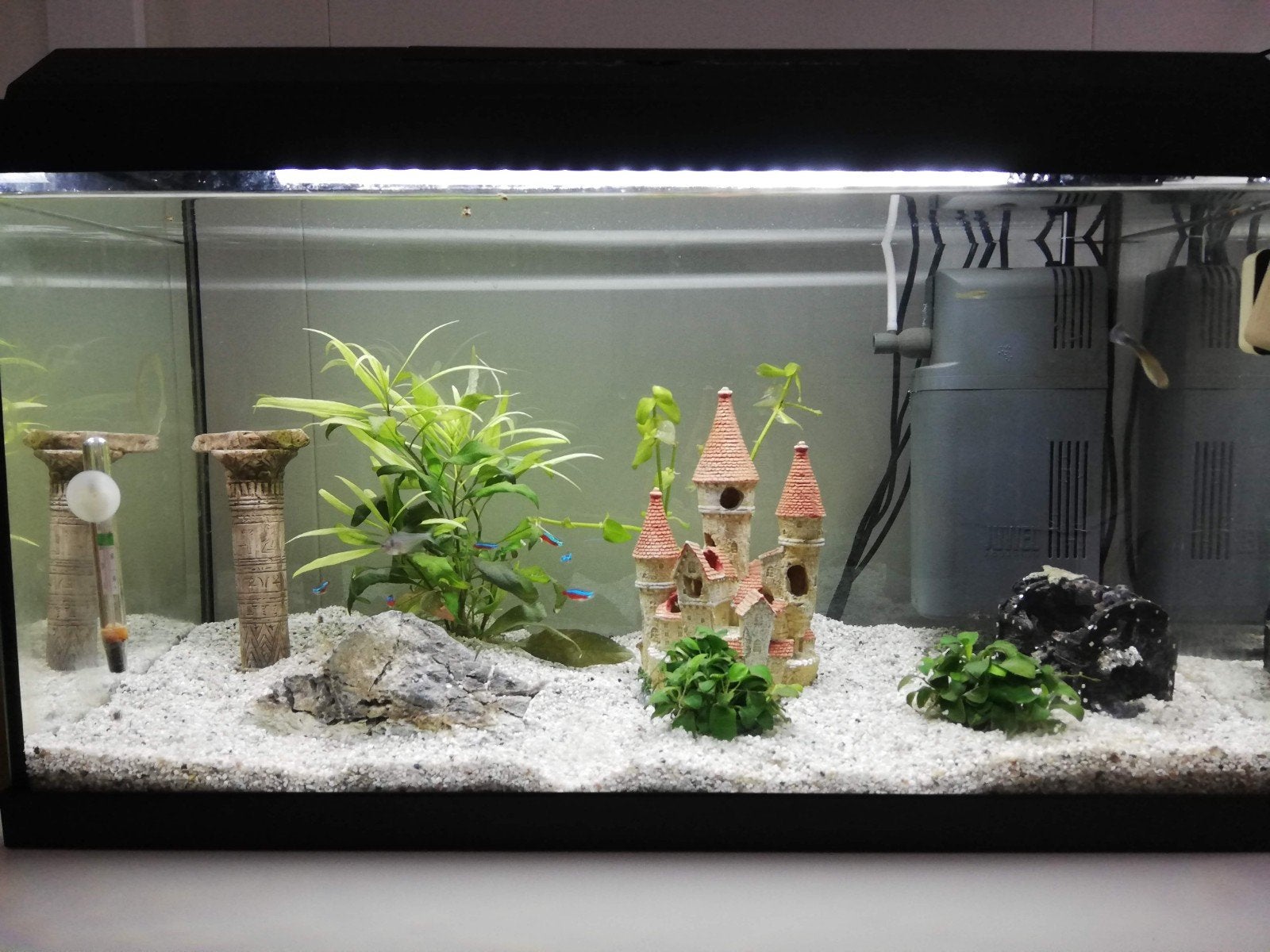 Aquarium Jewel, Ophalen, Gebruikt, Leeg aquarium, Overige merken