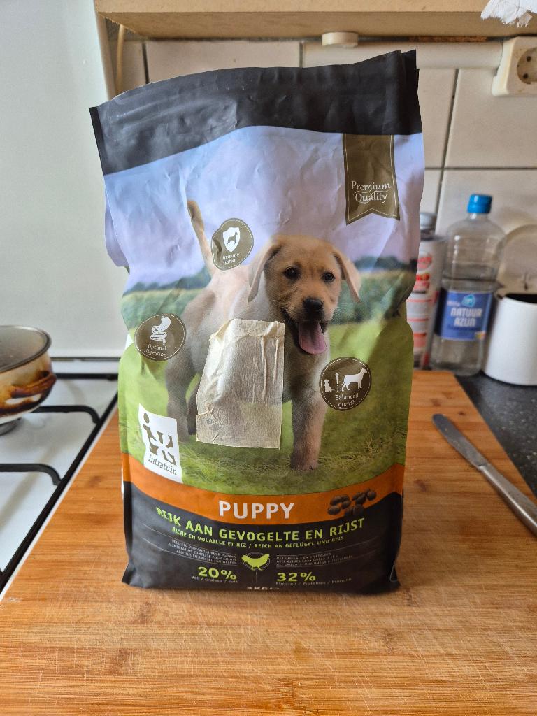 intratuin hondebrokken puppy, Ophalen, Hond