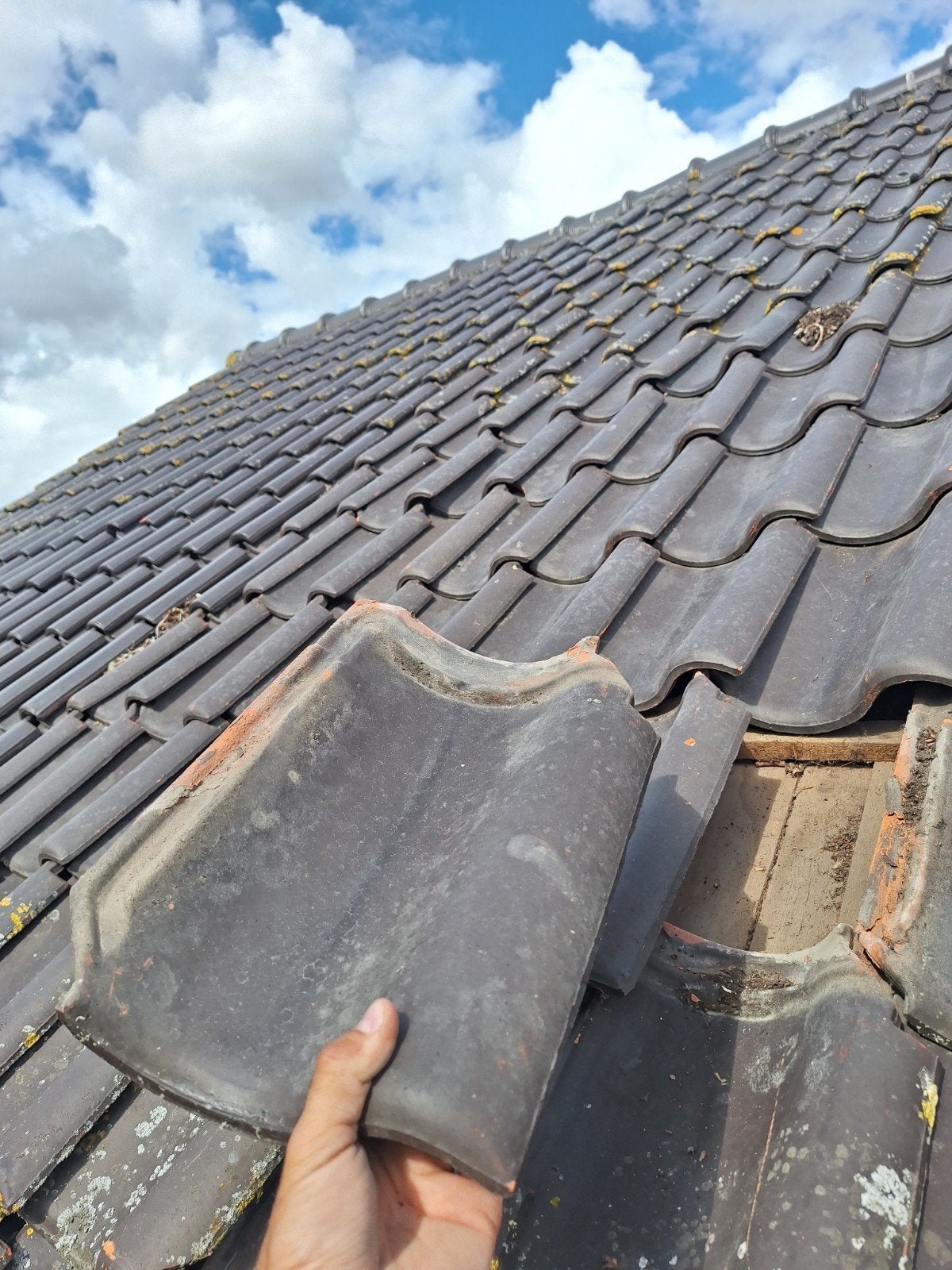Grijsbruine dakpannen ovh +/- 1500 stuks, Doe-het-zelf en Verbouw, Ophalen, Gebruikt, Steen of Klei, 15 m² of meer