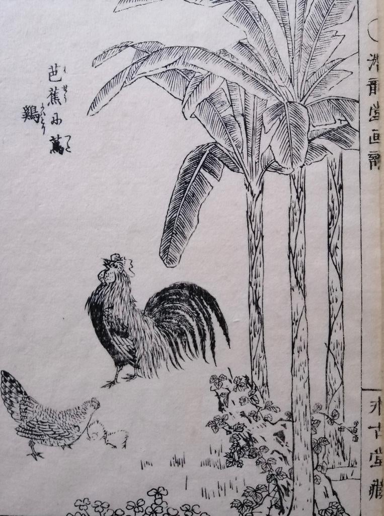 Japanse houtsnede van Takizawa Kiyoshi - Kippen, Antiek en Kunst, 1800 - 1899, Ophalen of Verzenden, Houtsnede, Flora en Fauna