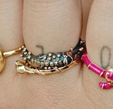 Gezocht: ring chameleon of muis Anna + Nina Romy, Sieraden, Tassen en Uiterlijk, Ophalen of Verzenden, Kleiner dan 17, Dame, Goud