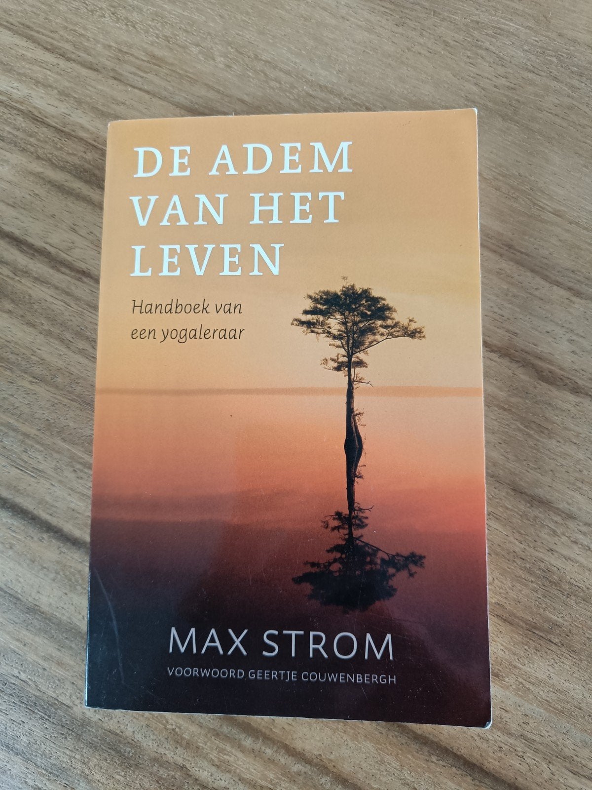 De Adem van het Leven - Handboek van een yogaleraar, Meditatie of Yoga, Max Strom, Ophalen of Verzenden, Zo goed als nieuw