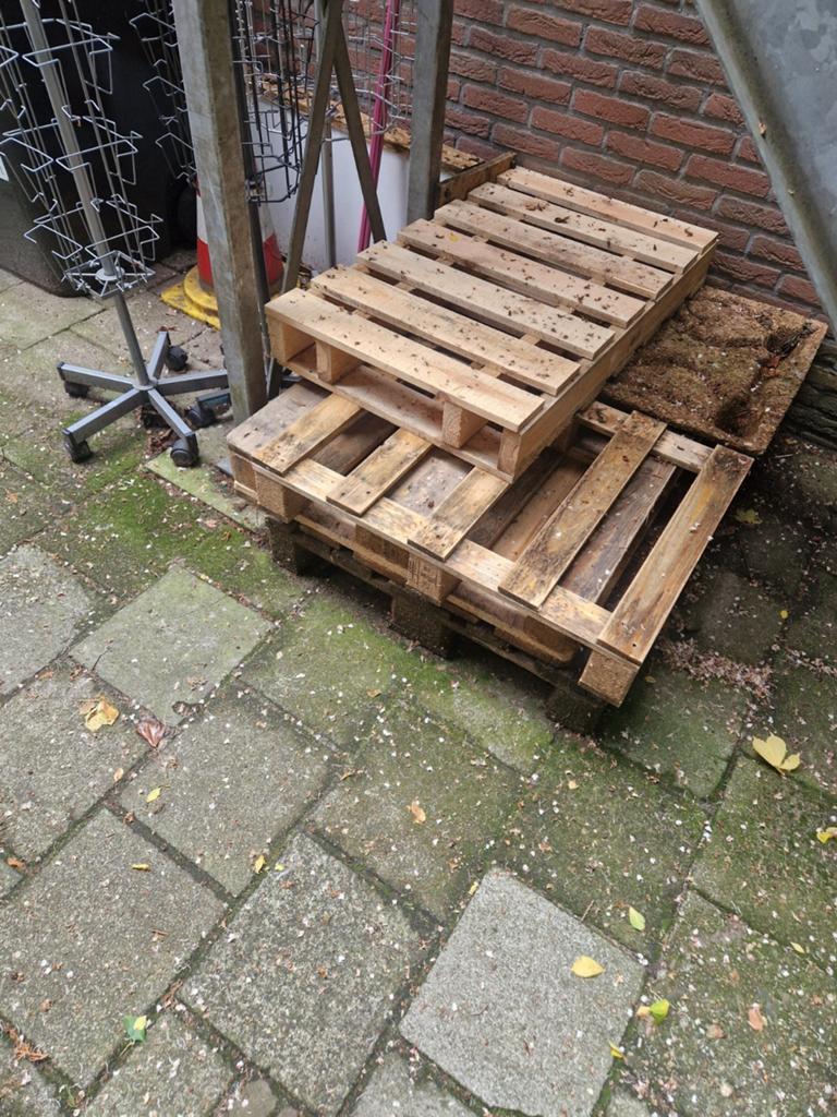 Pallets en dergelijk, Ophalen, Overige houtsoorten, Minder dan 200 cm, Pallet