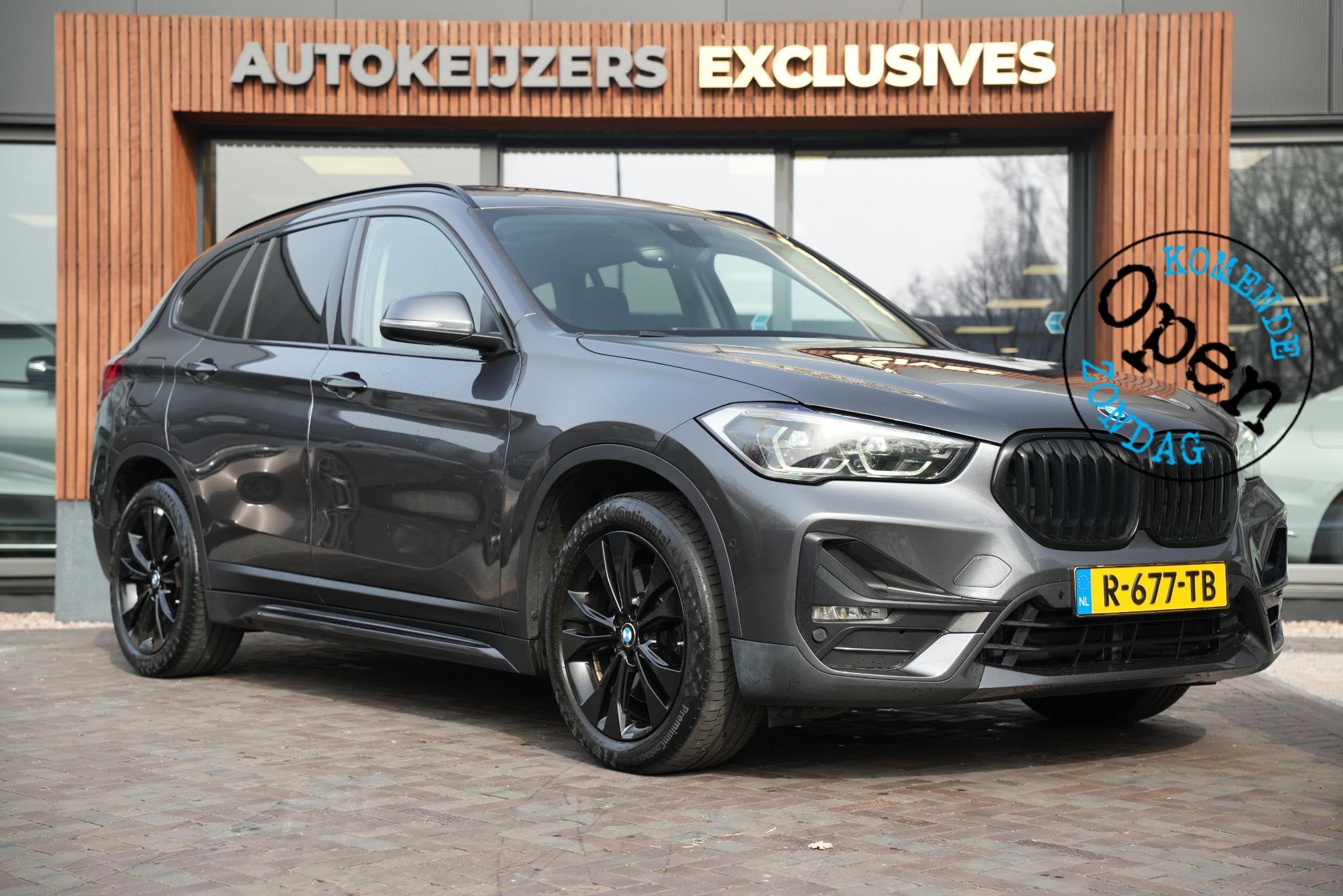 BMW X1 xDrive25e High Executive Panoramadak Adapt Cruise Hea